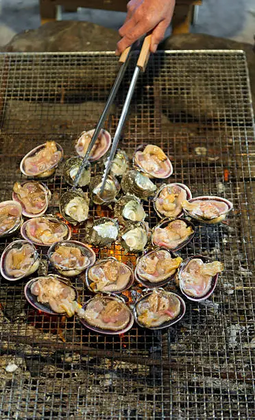 Grilling abalone and top shells on the barbecue.