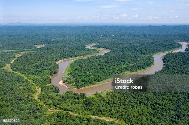 Fiume Nella Giungla Del Borneo - Fotografie stock e altre immagini di Ambientazione esterna - Ambientazione esterna, Colore verde, Composizione orizzontale