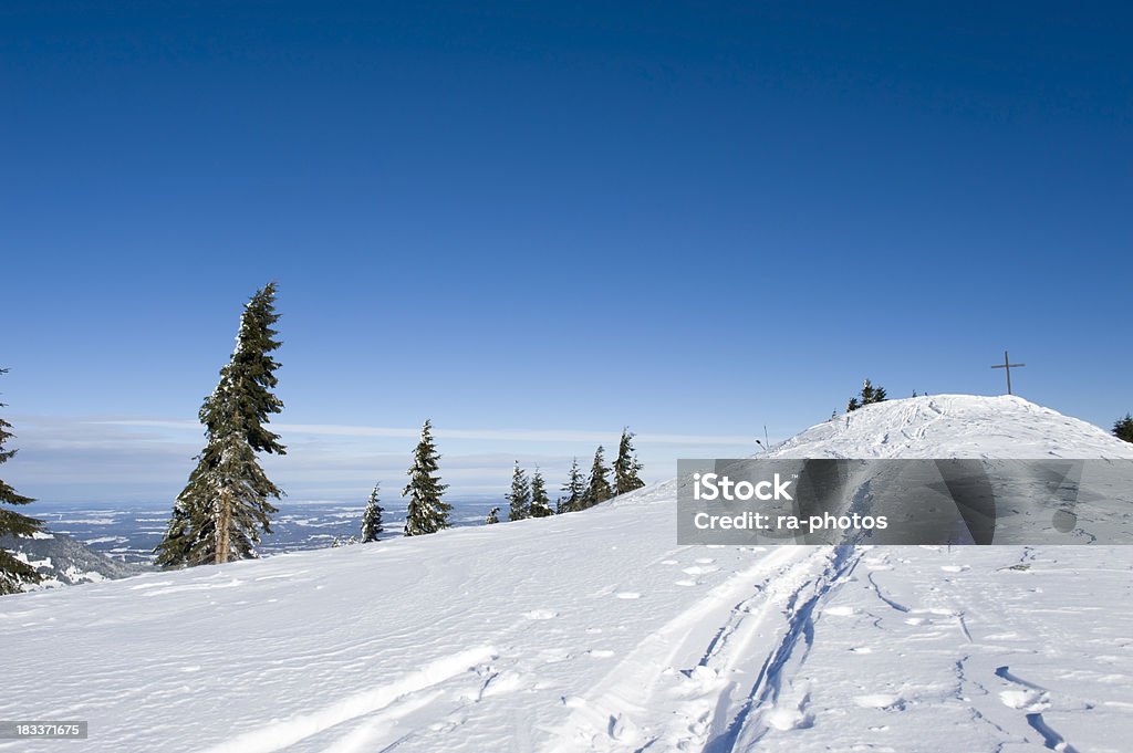 Lo sci alpinismo - Foto stock royalty-free di Alpi