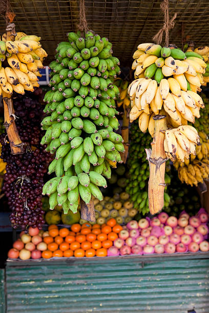 tropical fruit