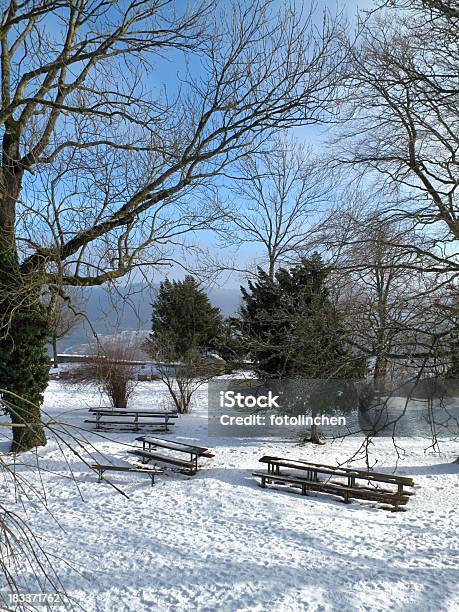 Winter Park Stockfoto und mehr Bilder von Ast - Pflanzenbestandteil - Ast - Pflanzenbestandteil, Baum, Bedecken