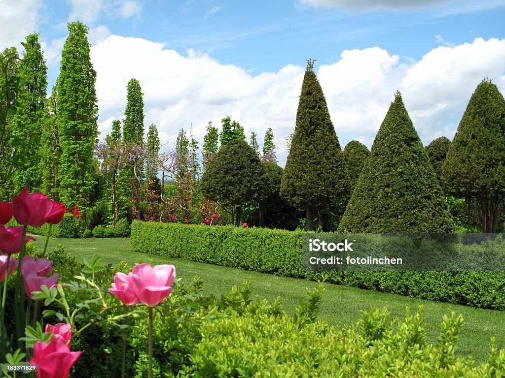 Wunderschöne Garten - Lizenzfrei Baum Stock-Foto