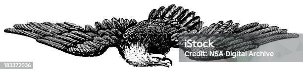 American Eagle Les Bois Illustrations Vecteurs libres de droits et plus d'images vectorielles de Aigle - Aigle, D'autrefois, Gravure sur bois