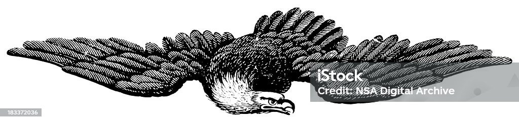 American Eagle/przedwczesne Woodblock Ilustracje - Zbiór ilustracji royalty-free (Orzeł)