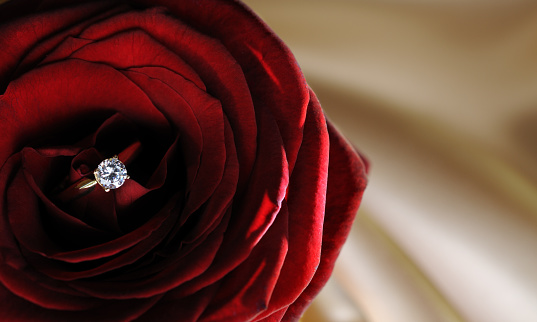 Diamond ring in a perfect red rose with a romantic lighting - satin textile as a background