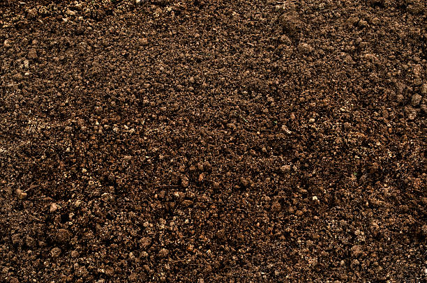 Soil Background stock photo