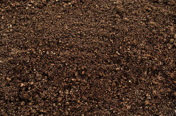 Dirt Soil Background From Nature