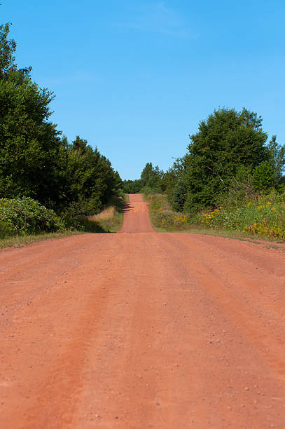istock Dirt Road on Prince Edward Island 183372889