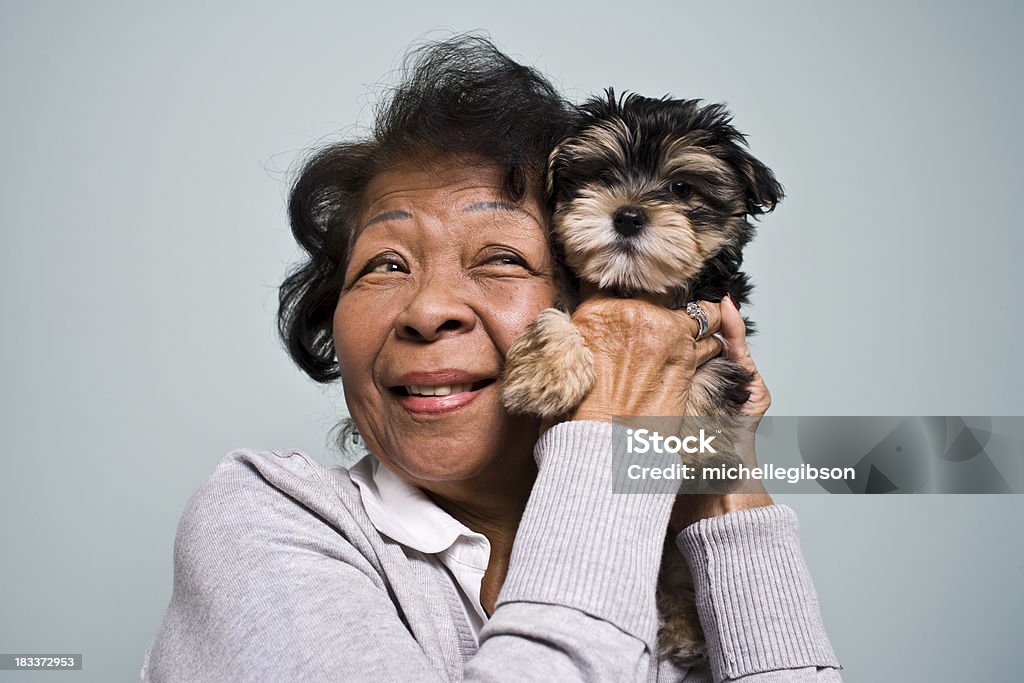 Senior Frau und ein Welpe - Lizenzfrei Hund Stock-Foto
