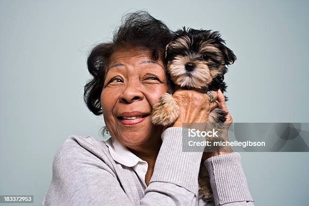 Mujer Mayor Y Un Cachorro Foto de stock y más banco de imágenes de Perro - Perro, Tercera edad, Foto de estudio