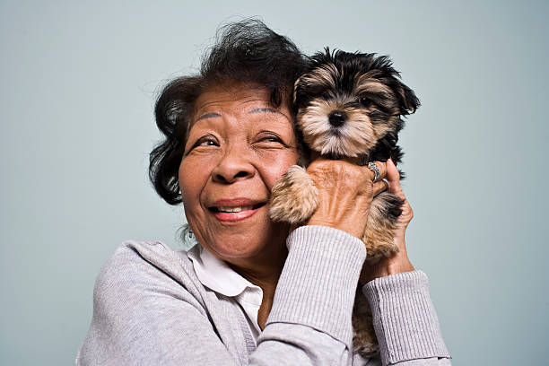 mulher idosa e um cachorrinho - baby carrier fotos imagens e fotografias de stock