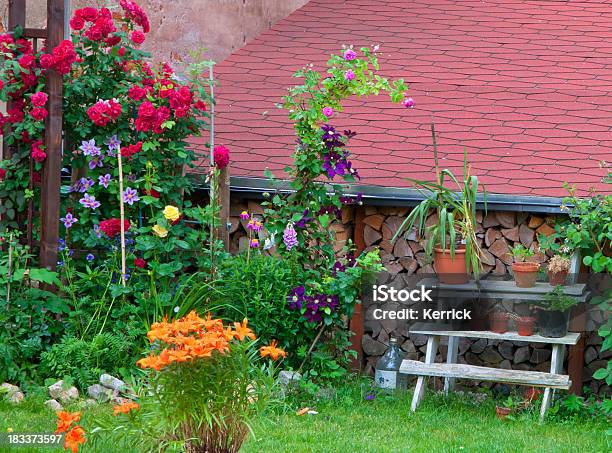 Bunte Garten In Einem Innenhof Stockfoto und mehr Bilder von Hausgarten - Hausgarten, Klein, Rose