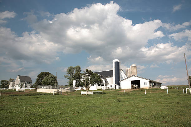 istock Amish Farm Land and house 183373693