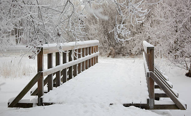 istock Wooden bridge in Winter 183373978