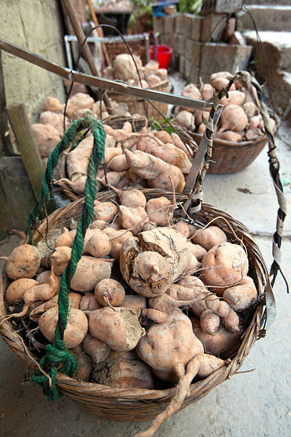 istock China, Guangxi Province, Yangshuo. Potatoes. 183374042