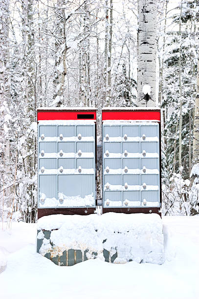 istock Group of Letter Boxes in Woodland Following Deep Snowfall 183374394