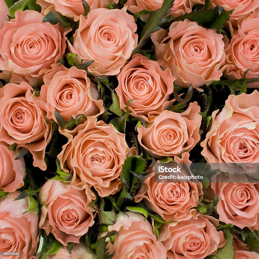 Fond Rose - Photo de Bouquet de fleurs libre de droits