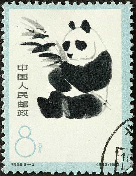 ジャイアントパンダ食べる竹を中国のスタンプ - panda giant panda china eating ストックフォトと画像