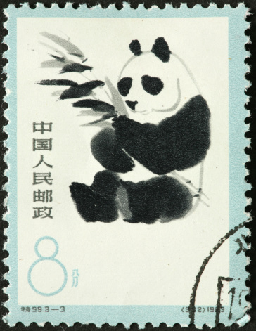 giant panda eating bamboo on a Chinese stamp