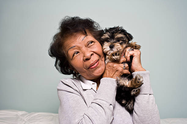 istock Senior Woman holding a Puppy 183375478