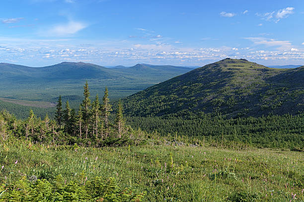 vista para south konzhakovskiy spur no norte dos urais, rússia - montes urales - fotografias e filmes do acervo