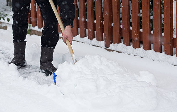 istock along a garden fence 183376298