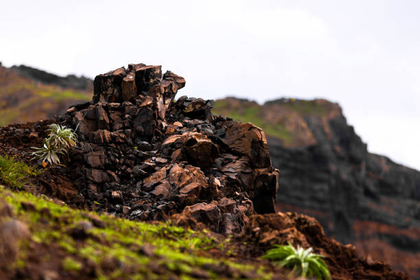 istock volcanic rocks on madeira island 1833766931