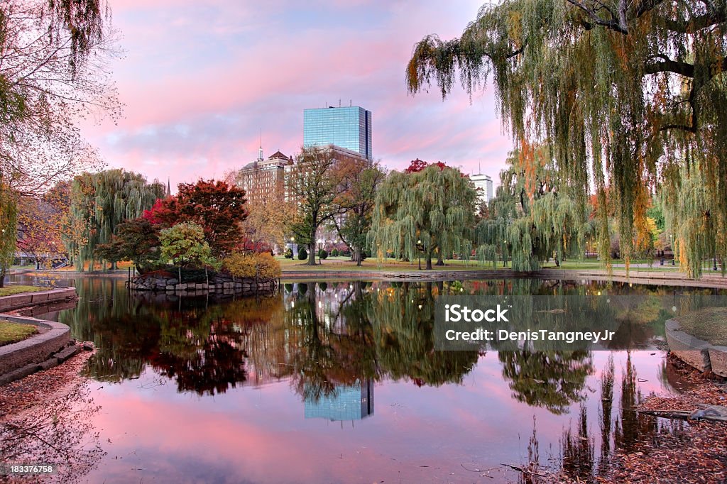 ボストンに反映し、小さな池 - オフィスビルのロイヤリティフリーストックフォト