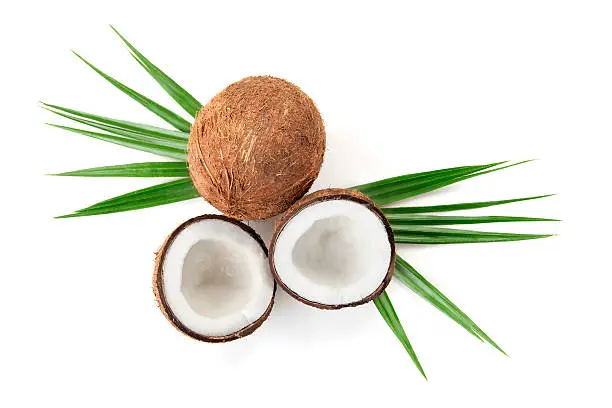 Coconuts on white background