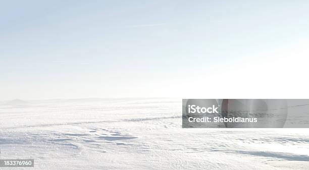 Snow Tundra Background Very Bright With Lots Of Copy Space Stock Photo - Download Image Now