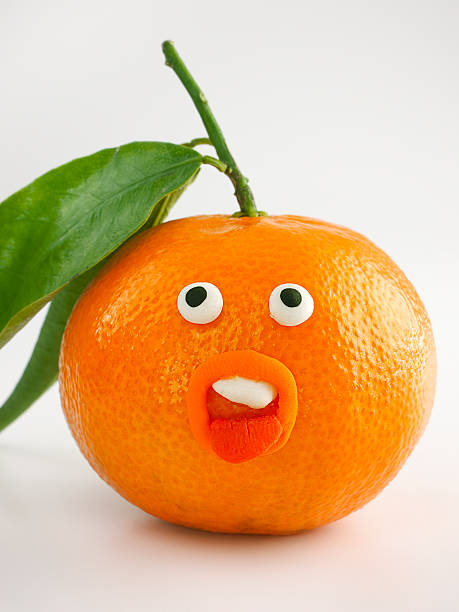 Mandarin portrait Mandarin portrait. Handmade with clay by CactuSoup crew.see more here oranges with faces stock illustrations