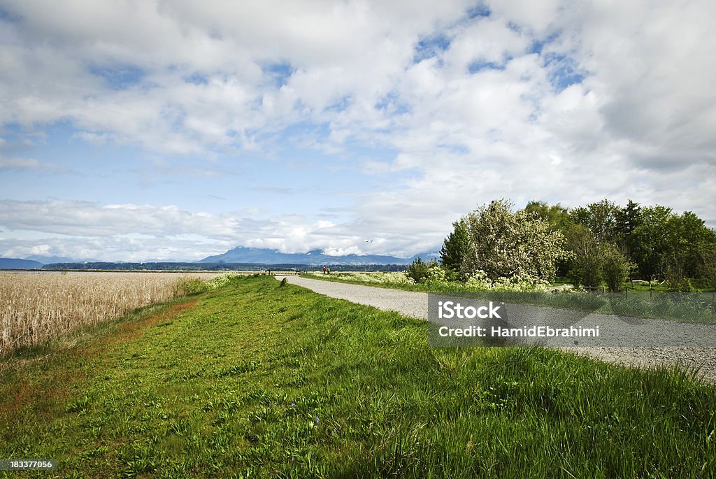 Trail "Terra Nova trail in Richmond, British Columbia with a plane taking off at Vancouver International Airport in the backgrounds." Airplane Stock Photo