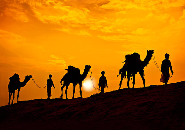 color cuoio safari - india travel journey camel foto e immagini stock