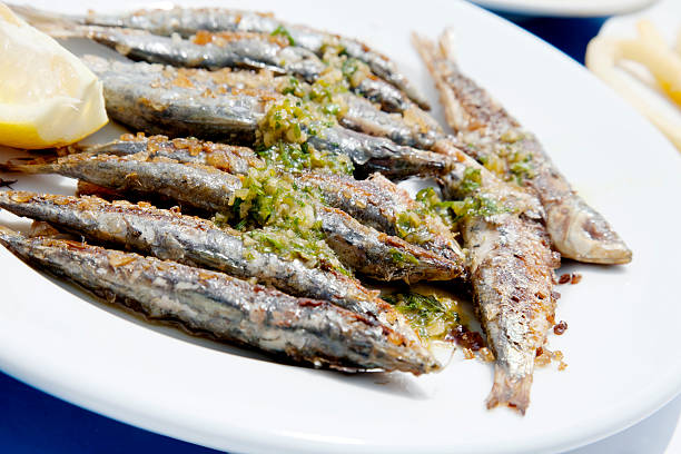 Sardines stock photo