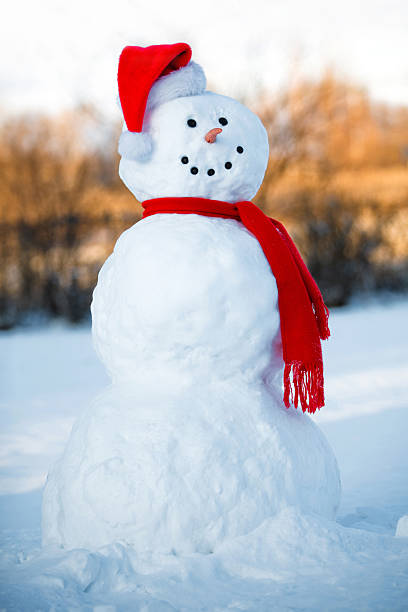 Backyard Snow Man stock photo