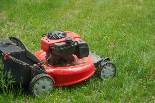 istock close up on lawn mower on the lawn 1833777948