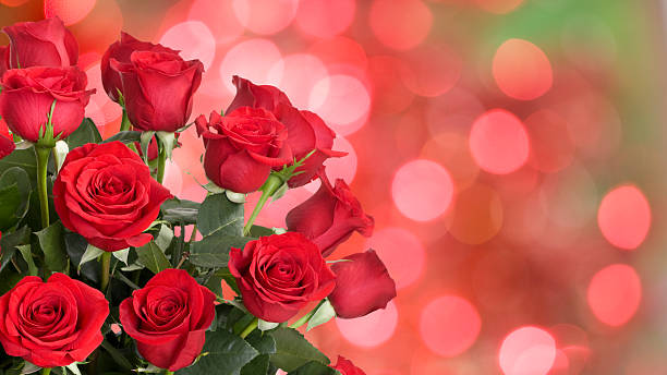 バラの花束 - dozen roses rose flower arrangement red ストックフォトと画像