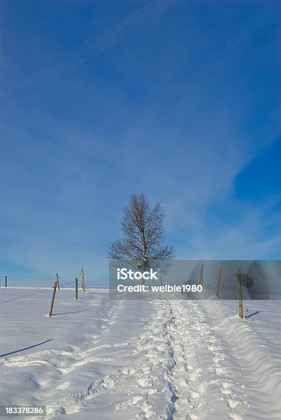 Einsame Baum Am Ende Einer Winterstraße Stockfoto und mehr Bilder von Baum - Baum, Baumkrone, Bildhintergrund