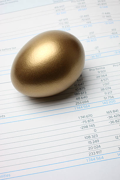 Golden Egg on Financial Figures and Charts Golden egg on financial figures. golden nest egg taxes stock pictures, royalty-free photos & images