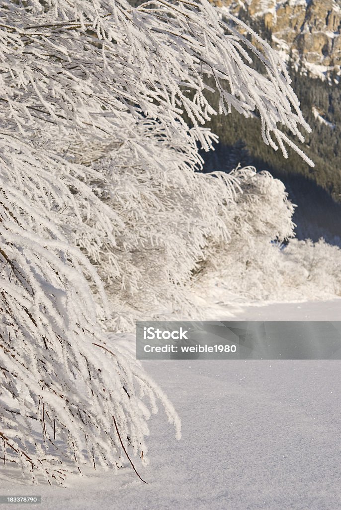 Gefrorene Büschen nächsten winter lake - Lizenzfrei Alpen Stock-Foto
