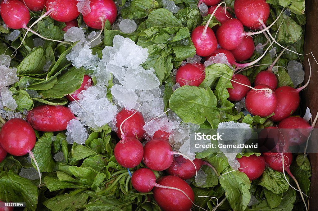 オーガニックの赤い Radishes に配送 - 氷のロイヤリティフリーストックフォト