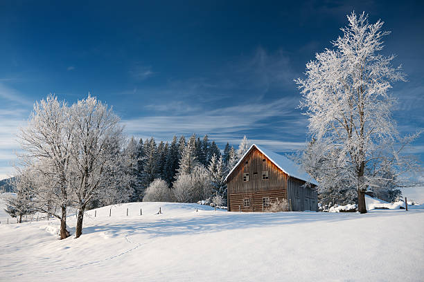 Old Barn House - Wonderful Winter Land (XXXL)