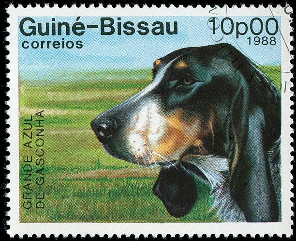 郵便切手からギニアビサウ - 1988 ストックフォトと画像