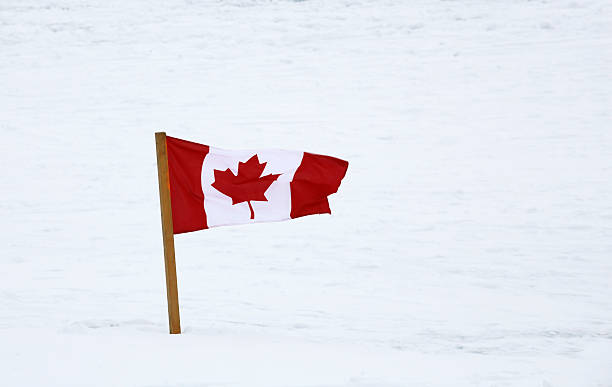 istock Canadian Flag Planted in Snow 183379471