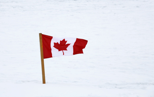 A Canadian Flag planted in the snow flutters in the breeze.