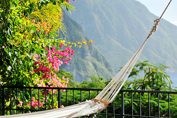 siéntese en una hamaca y podrá disfrutar de una imponente vista a las montañas - hawaii islands maui big island tropical climate fotografías e imágenes de stock
