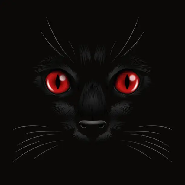 Vector illustration of Vector 3d Realistic Red Cats Eye of a Black Cat in the Dark, at Night. Cat Face with Yes, Nose, Whiskers on Black. Cat Closeup Look in the Darkness. Front View