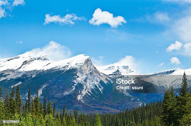 Montanhas Rochosas Canadianas - Fotografias de stock e mais imagens de Ao Ar Livre - Ao Ar Livre, Coberto de Neve, Floresta