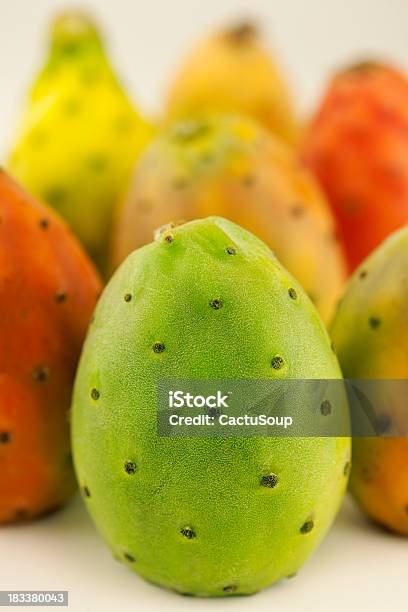 Prickly Pear Cactus Stock Photo - Download Image Now - Prickly Pear Cactus, Puglia, Tuna Fruit