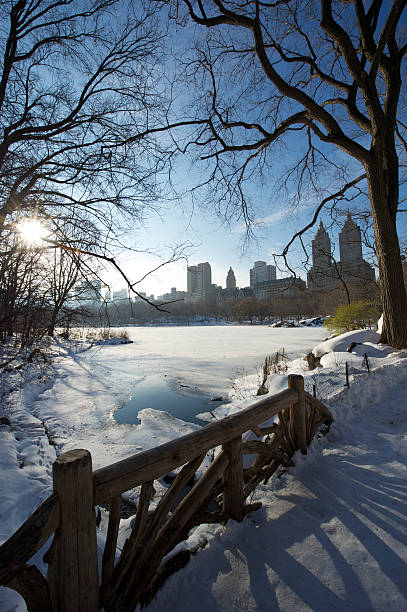 istock Winter Scene New York City Central Park 183380369
